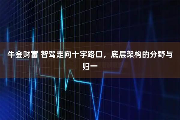牛金财富 智驾走向十字路口，底层架构的分野与归一