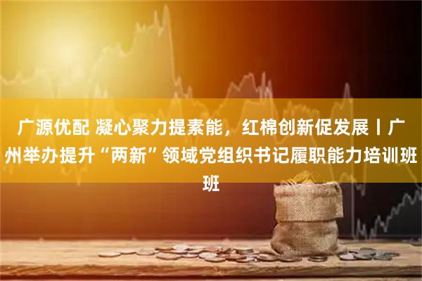 广源优配 凝心聚力提素能，红棉创新促发展丨广州举办提升“两新”领域党组织书记履职能力培训班